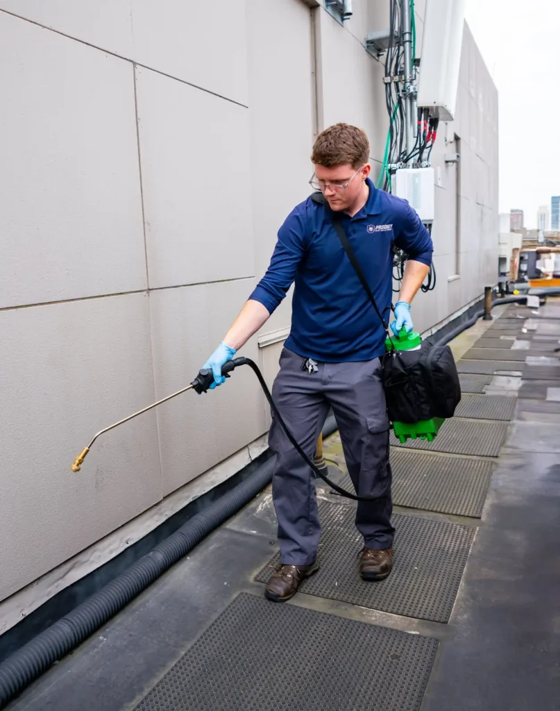 Prodigy technician applying a perimeter treatment with a sprayer along a commercial building wall