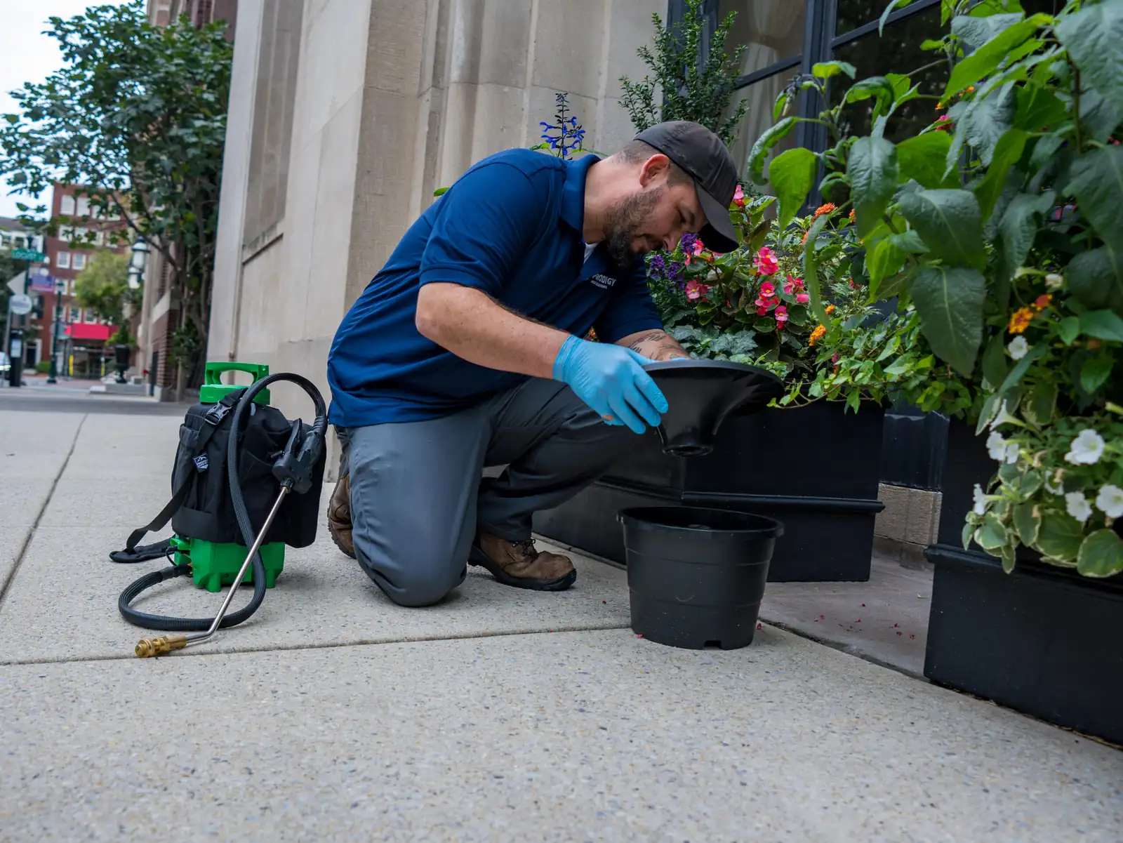 Prodigy technician servicing an In2Care mosquito station beside outdoor planters