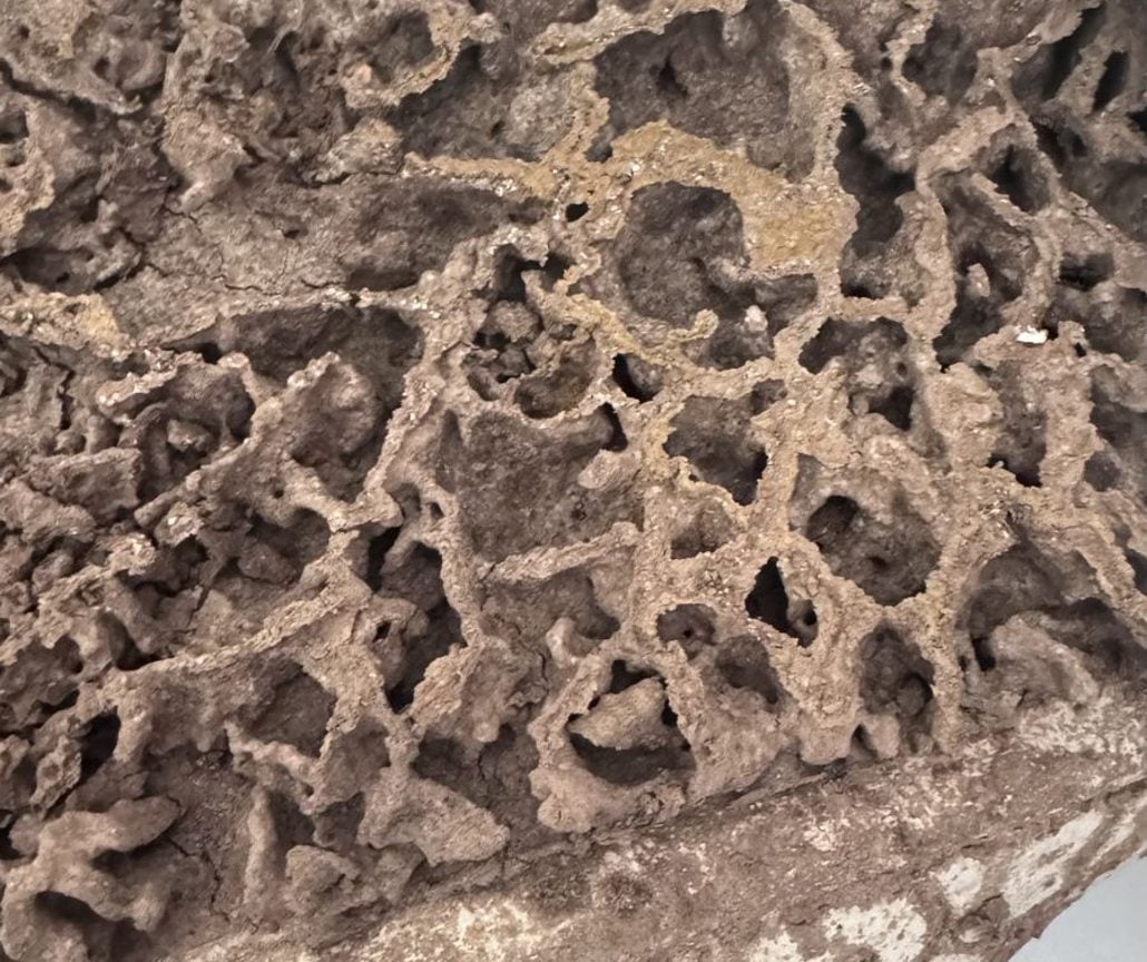 Real termite damage found by Prodigy Pest Solutions in the Philadelphia area